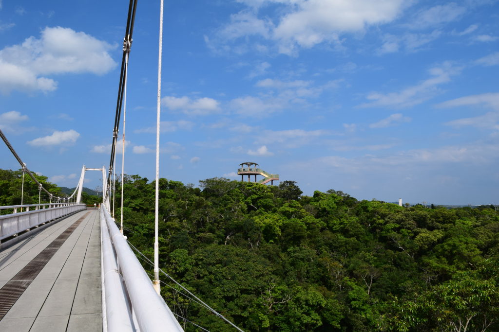 カンムリワシ展望台