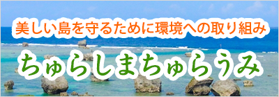 美しい島を守るために環境への取り組み