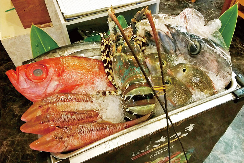 お魚ワゴン